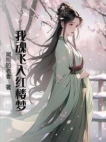 我魂飞入红楼梦